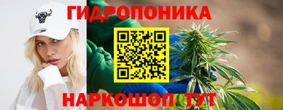 хмурый Гусев